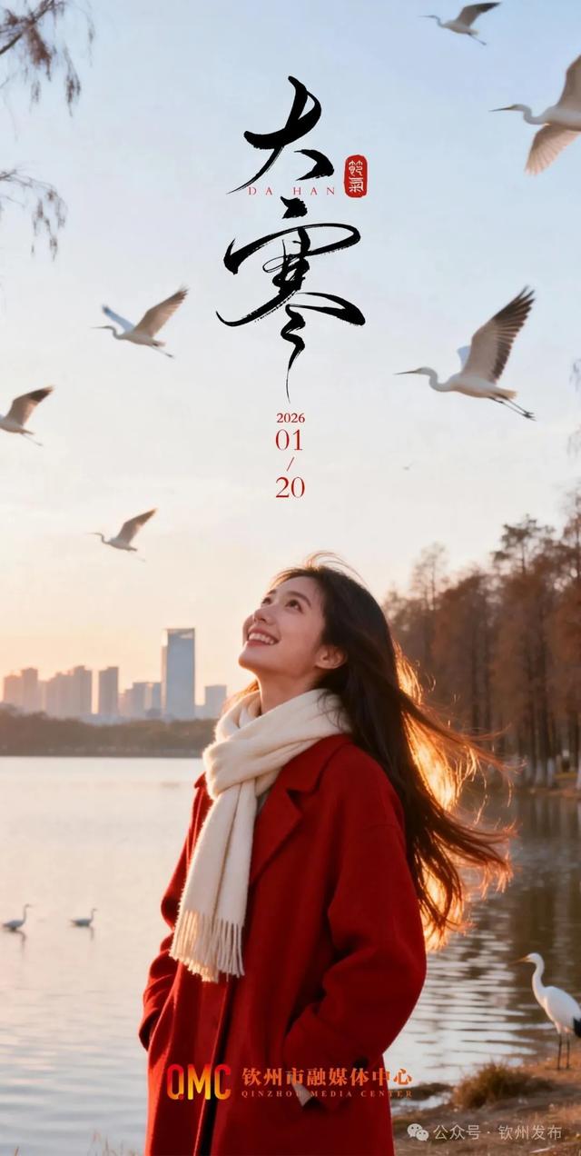 来钦州，“鸥”遇冬日限定浪漫！