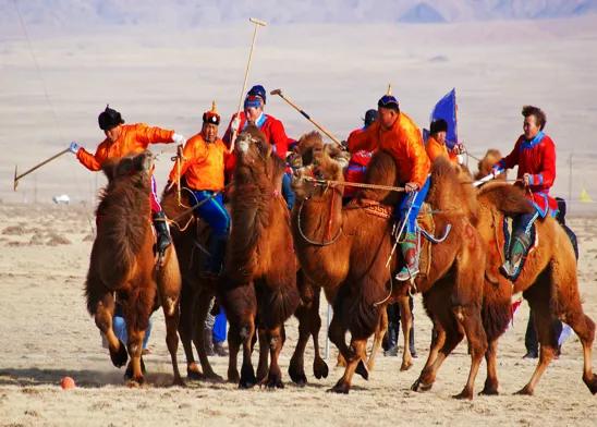 官宣！巴彦淖尔跨年活动安排公布！