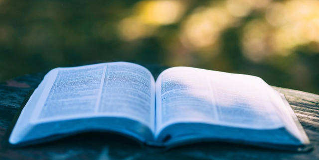 百万国人力荐，百读不厌，此生必读