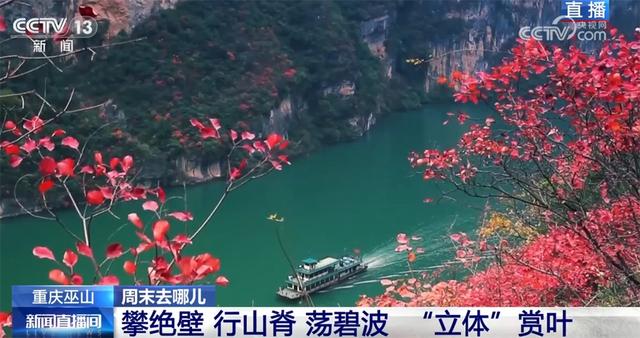 以红叶为“媒”、“跟着课本去旅行”成亮点 场景上新增加文旅消费新体验