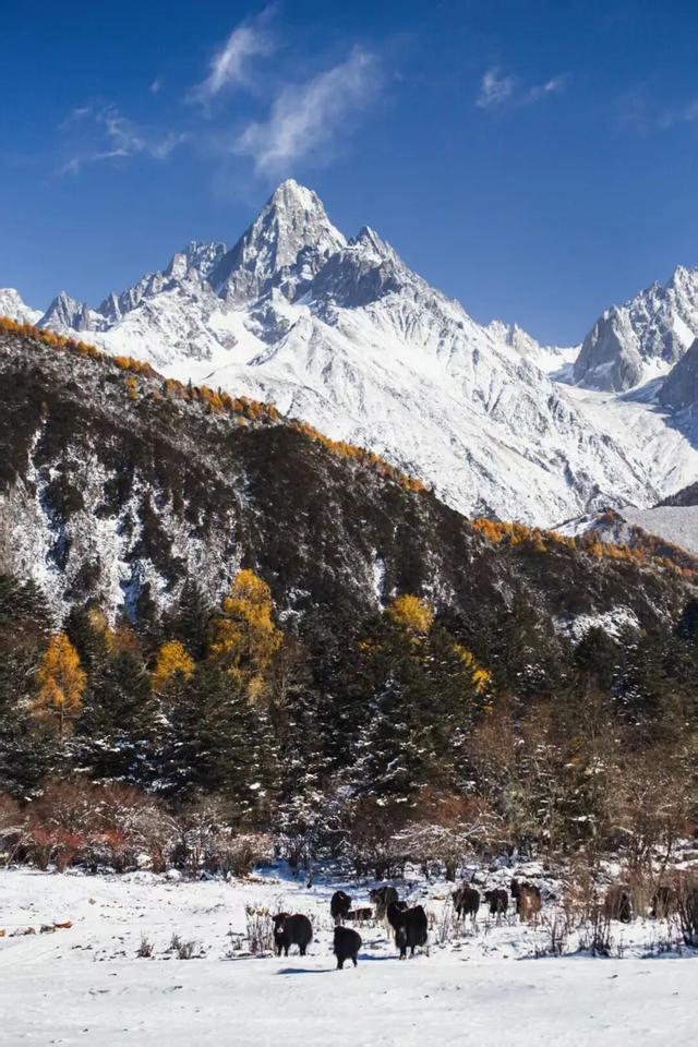 这个冬天，来甘孜晒太阳就绰绰有余！