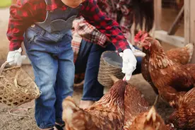 为何城里人去安徽小县城过年后，不想回家图片