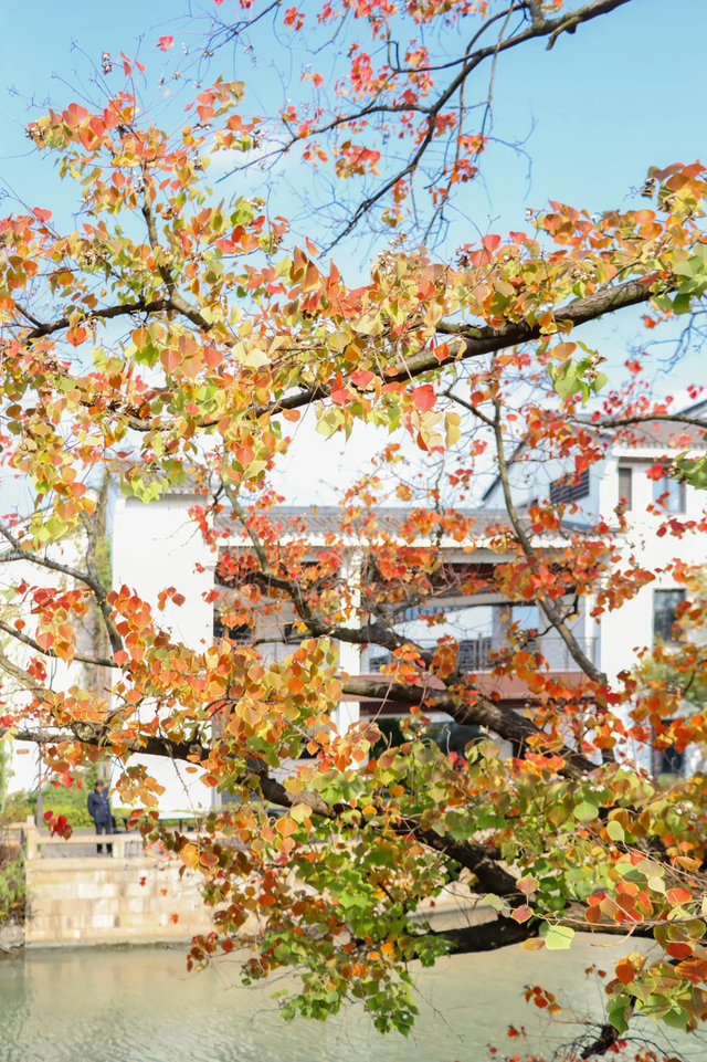 美翻了~这个秋假，来南湖吧！