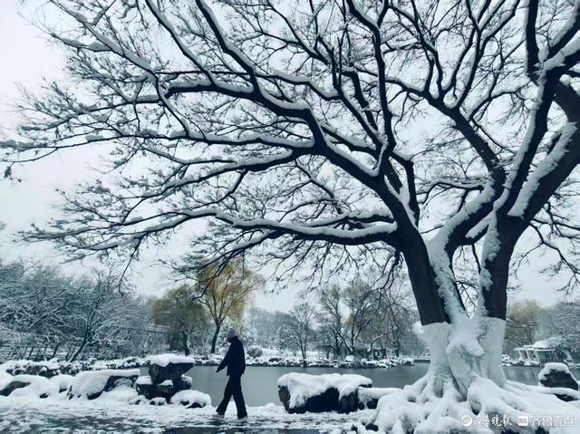 雪中泉城公园美不胜收