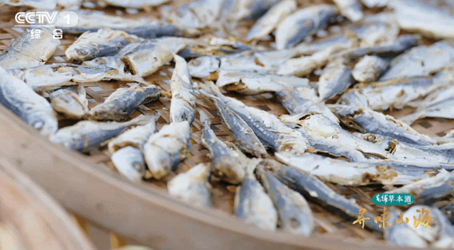 山海相逢处，至味在漳州