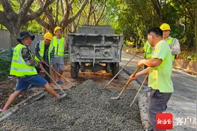 海口金牛岭公园升级改造 部分健身步道已经完工图片