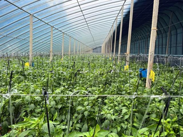 解锁“美拉德”色系！东平的秋天是懂氛围感的