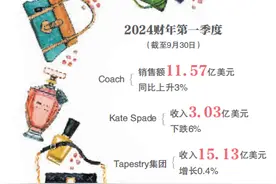 连关两店 轻奢鼻祖MK进退失据图片