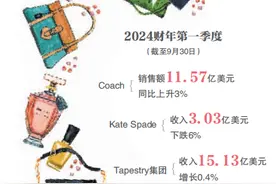 连关两店 轻奢鼻祖MK进退失据图片