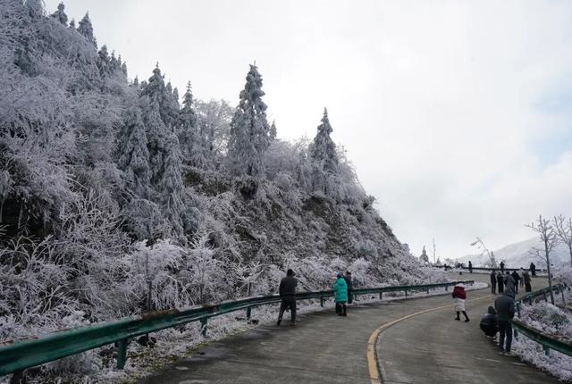 多图直击融水雾凇美景