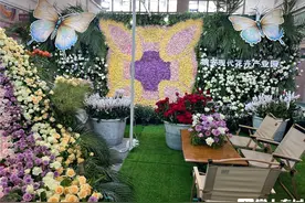 楚雄“百花绘梦”惊艳南博会，科技赋能演绎“楚花3.0”新境界图片
