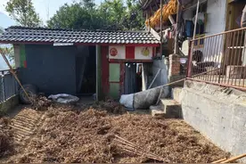 四川一村民家中遭黑熊袭击，妻子重伤丈夫持斧头将其击杀，狗子成制胜关键图片