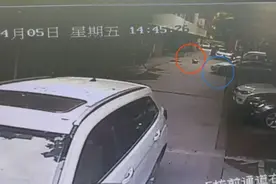 “开车未绕行”是定罪关键？“小伙驾特斯拉出车位右转直行，辗轧蹲趴小区路上玩耍5岁女童不幸亡”案将开庭图片