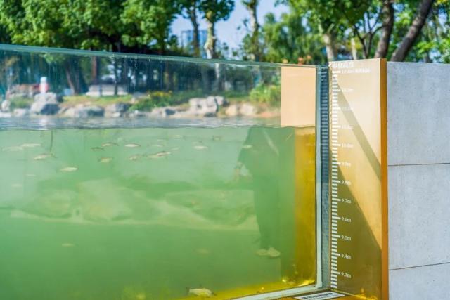 厉害了！南京“网红大鱼缸”，获国家发明专利