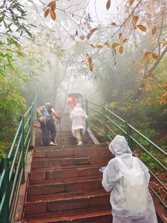 别等天晴了!雨天的秋日瓦屋,藏着你没见过的朦胧浪漫