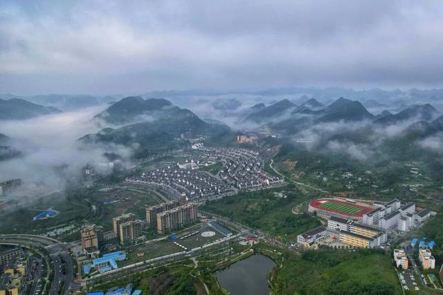 贵州“省花”，在毕节？