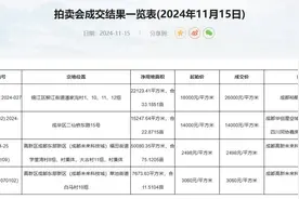 成都土拍丨26000元/㎡！锦江区林家坝宅地刷新纪录图片