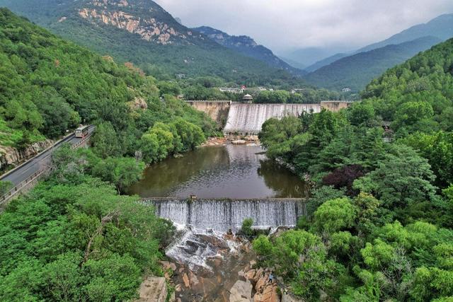 山东泰安山城联动共擎绿色画卷，激活高质量发展新动能