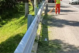 “樱”你而来 公路部门全力护航北宅樱桃节图片