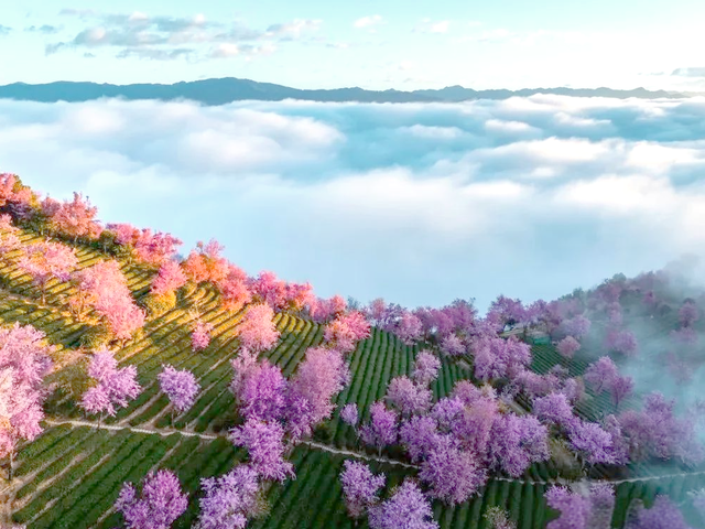 大理+滇西5县深度游！10条主题线覆盖非遗、古镇、美食、康养，这篇攻略直接抄作业