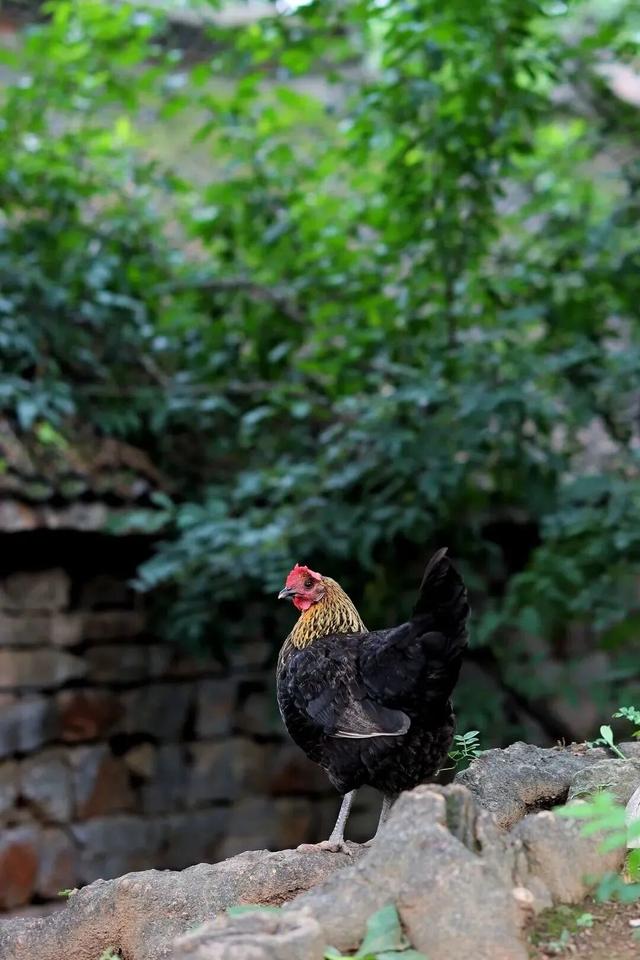 看！洛阳周边超适合过冬的地方被我发现了！