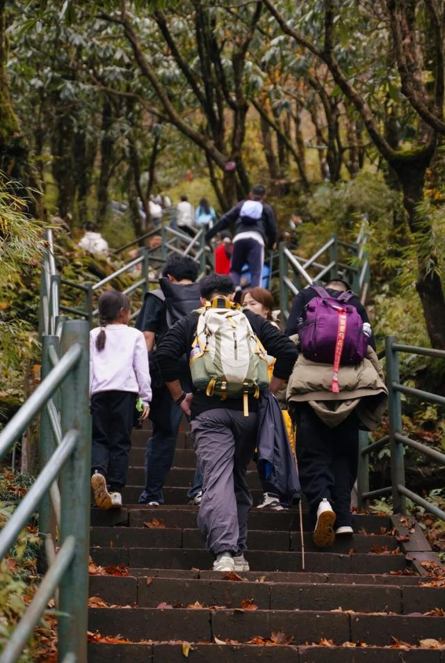 突破百万！瓦屋山【百万锦鲤】宠粉福利，11月30日揭晓这份专属幸运～