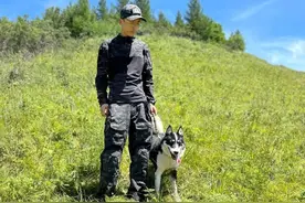 他们在宁夏西吉抓野猪图片