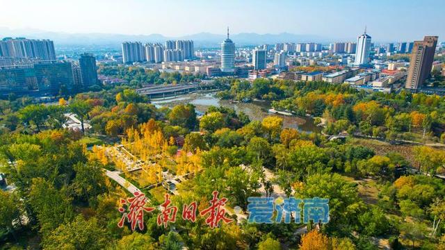 莱芜红石公园秋意浓 红石秋叶绘就多彩画卷