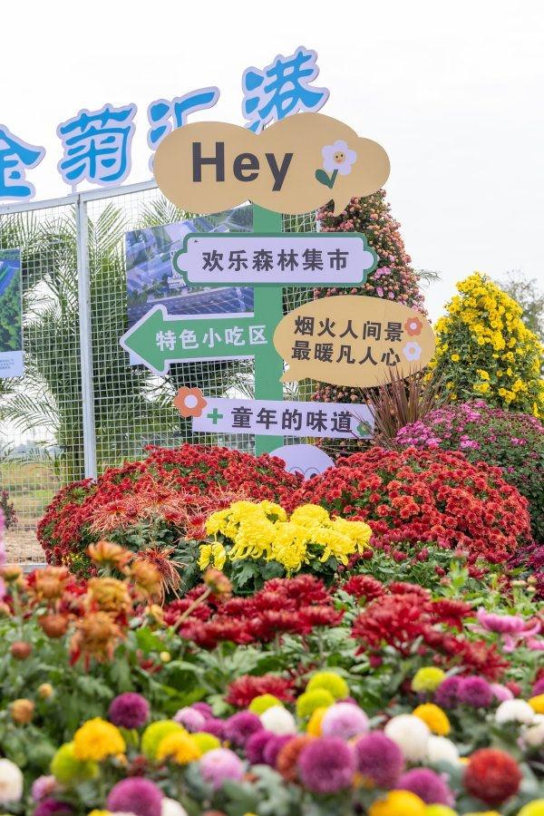 刷屏1个月正式闭幕，武汉金秋菊展留下这些名场面