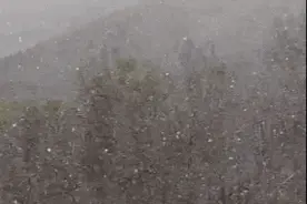 今天北京下雪千真万确！气象部门回应：是正常现象！图片