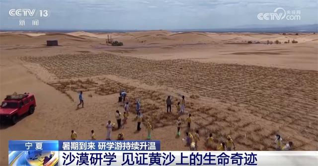 探秘雨林、寻踪国宝、见证奇迹……研学游持续升温点亮“暑期经济”
