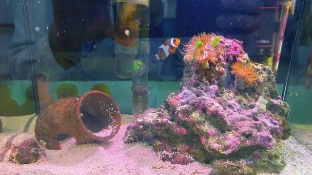 解锁减压“轻方式	”	，做一次触手可及的心灵SPA