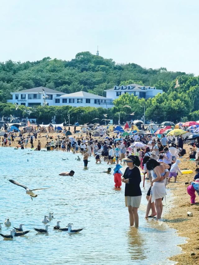 G768次宝藏列车！齐齐哈尔始发6小时直达海滨，享夏日浪漫！
