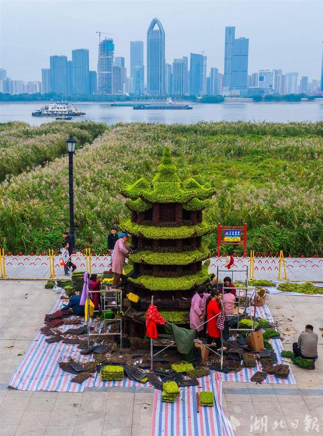 武汉金秋菊展剧透！巴公房子、黄鹤楼菊花造型惊艳