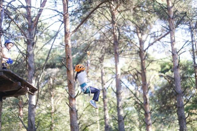 通知：森林探险乐园闭园倒计时3天！燃情初冬探险+“森”呼吸 定格成长…