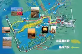春日限定，欲玩从速！北京多家景区推出优惠活动图片