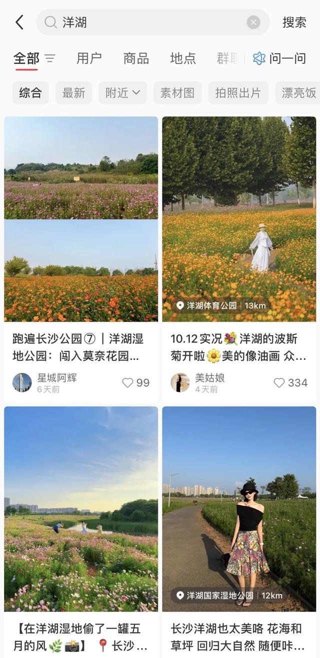 长沙这片花海，火了！