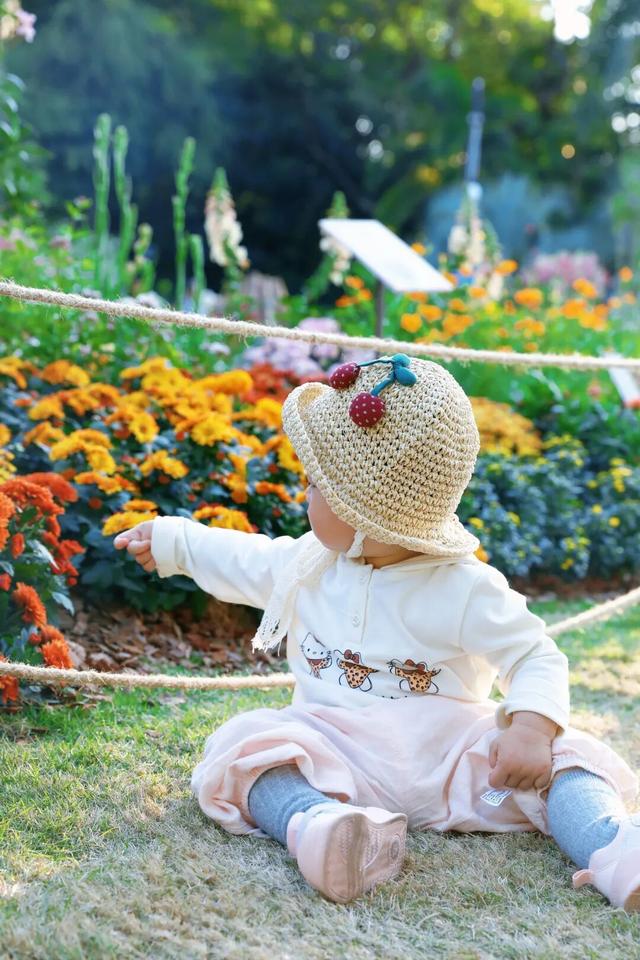 行摄 | 美爆了！秋日花海，限时上映