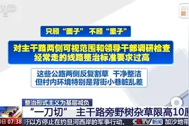 要求路边杂草限高10厘米，这是政绩观生了杂念图片
