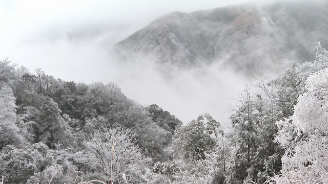 桂林全州变身冰雪童话世界，美不胜收→