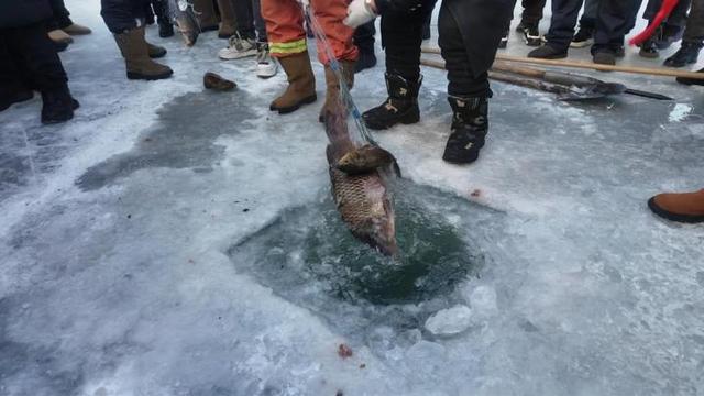 伊春市金林区邀您共赴森冬浪漫童话之旅