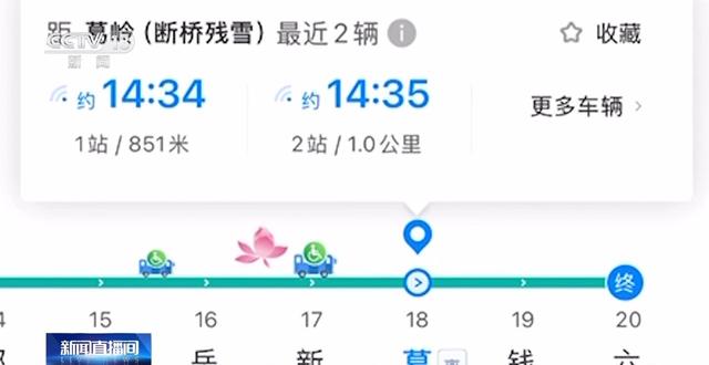 “看熊猫专线” “赏荷巴士”……暑期解锁一站式旅游观光