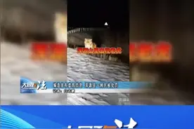 山西大同浑源山里出现老虎？警方回应图片