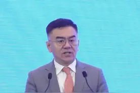 TCL科技集团首席运营官王成：集团家电产品远销非洲46国图片