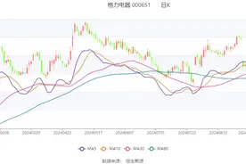 格力电器：2024年上半年净利润141.36亿元 同比增长11.54%图片
