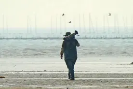 全中国的鸟类，福州这位生物老师看了一半！图片