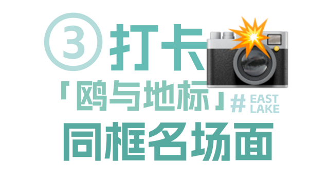 来东湖追鸥，这份私藏待办清单，请收好！