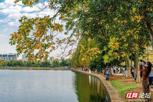 岁暖时刻丨暖冬长沙图鉴：烈士公园，藏不住的诗意光景