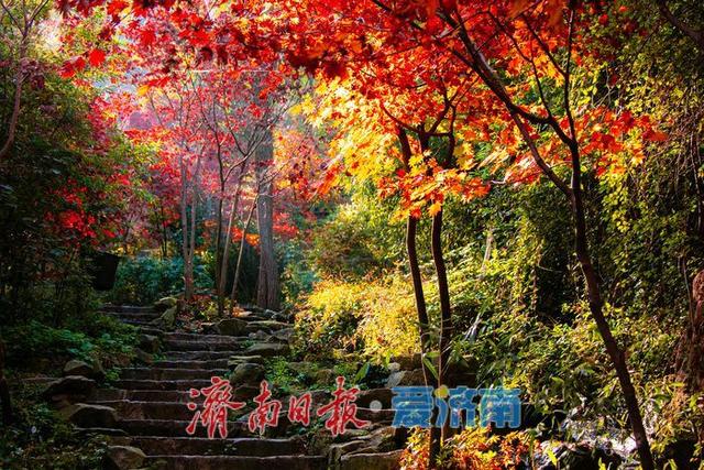 一年四季 泉在济南 | 国庆秋游新“趣”处，在九如山，把秋天“带”回家