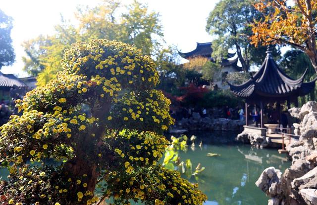 江苏苏州：古典园林狮子林景色美
